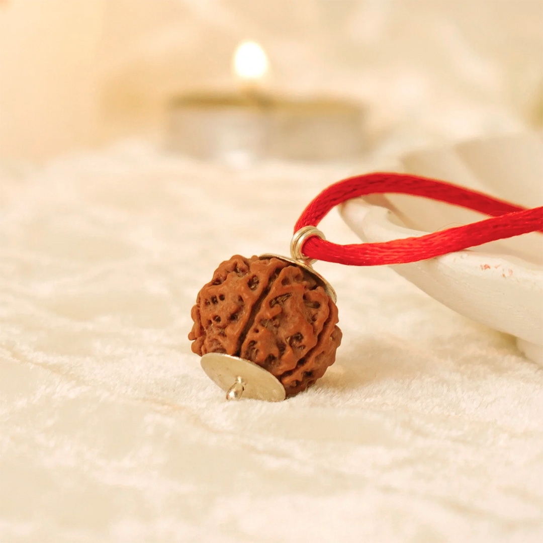Rudraksha